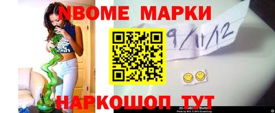 соль ск Камышлов