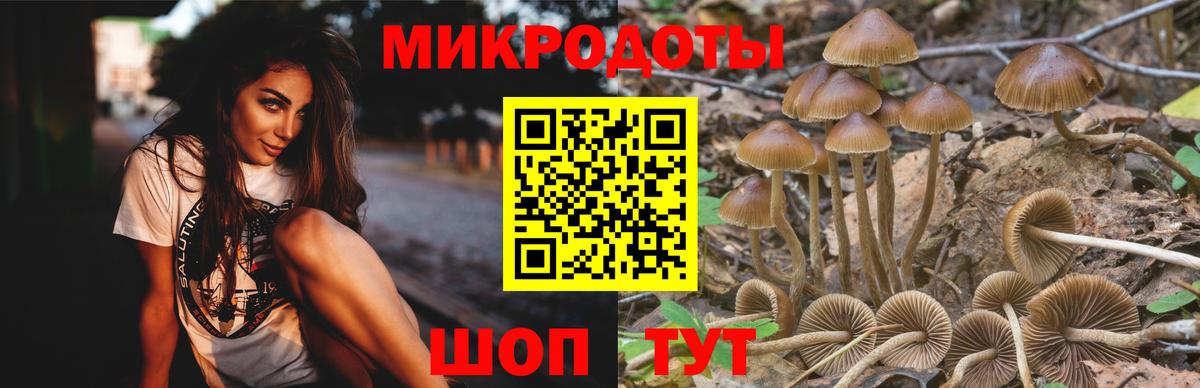 Псилоцибиновые грибы прущие грибы Алапаевск