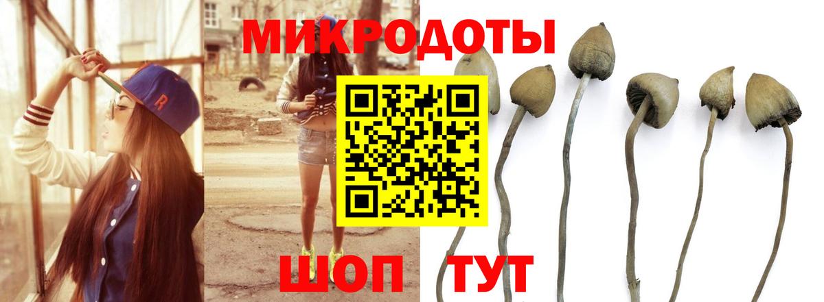Алапаевск  купить наркотики цена  Вход с VPN  Псилоцибиновые грибы мицелий 